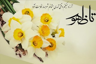 بهار نیامده